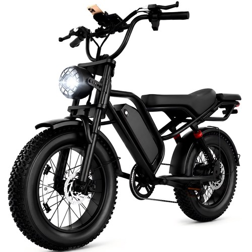 Fat tire electric bike - tire,