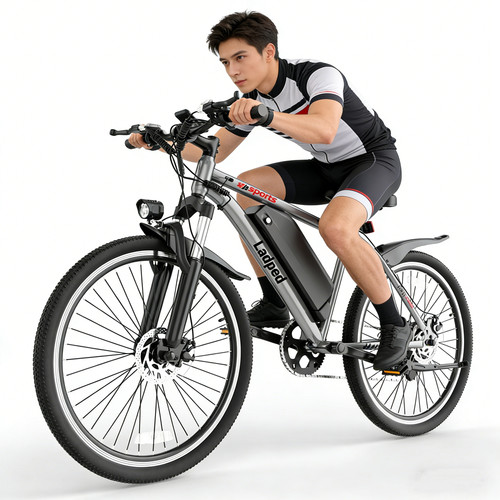 26inch ebike mtb - 26inch,
