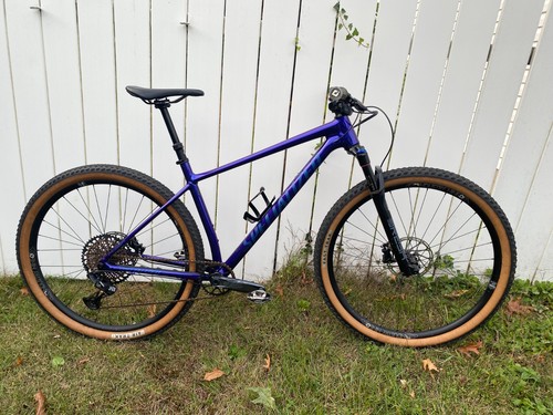 Specialized chisel 29er custom - specialized,