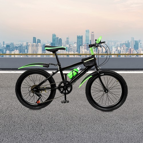 Green mountain bike - 20",
